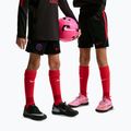 Vaikiški futbolo šortai Nike Paris Saint-Germain Strike black/hyper royal/global red/global red