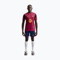 Vyriški futbolo marškinėliai Nike FC Barcelona Strike Soccer Dri-Fit noble red/blackened blue/mineral yellow 2