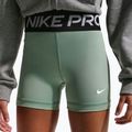Vaikiški šortai Nike Pro steam/white 5