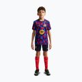 Vaikiški futbolo marškinėliai Nike FC Barcelona Dri-Fit Pre-Match noble red/mineral yellow 3