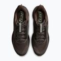 Vyriški bėgimo batai Nike Pegasus Premium ironstone/dark smoke grey/quartz patina 4