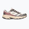 Moteriški batai SKECHERS Go Run Trail Altitude 2.0 Ravine beige 2