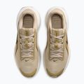 Vyriški bėgimo batai Nike Downshifter 14 desert khaki/sail/filbert/dark hazel 5