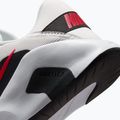 Vyriški treniruočių batai Nike Flex Train off white/white/black/university red 6