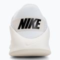 Moteriški treniruočių batai Nike Flex Train white/sail/phantom/ metallic silver 6