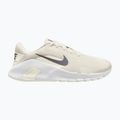 Vyriški treniruočių batai Nike Flex Train phantom/white/sail/pencil point