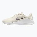 Vyriški treniruočių batai Nike Flex Train phantom/white/sail/pencil point 2
