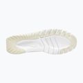 Vyriški treniruočių batai Nike Flex Train phantom/white/sail/pencil point 3