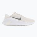 Vyriški treniruočių batai Nike Flex Train phantom/white/sail/pencil point 2