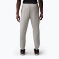Vyriškos kelnės Jordan Sport Crossover grey heather 3