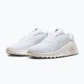 Moteriški treniruočių batai Nike Flex Train white/sail/phantom/ metallic silver 3