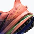 Vyriški bėgimo batai Nike Pegasus Premium racer blue/atomic pink/volt tint/black 8