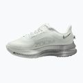 Moteriški bėgimo batai Nike Pegasus Premium summit white/grey fog/metallic silver 2