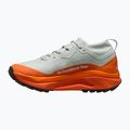 Vyriški bėgimo batai Nike ACG Zegama Trail GORE-TEX light silver/safety orange/summit white 2