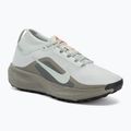 Vyriški bėgimo batai Nike ACG Pegasus Trail GORE-TEX Light Silver/Light Army/Light Silver