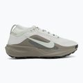 Moteriški bėgimo batai Nike ACG Pegasus Trail GORE-TEX Light Silver/Light Army/Light Silver 2