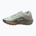 Moteriški bėgimo batai Nike ACG Pegasus Trail GORE-TEX Light Silver/Light Army/Light Silver 2