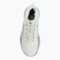 Moteriški bėgimo batai Nike ACG Pegasus Trail GORE-TEX Barely Green/Silver Lilac/Light Bone 5