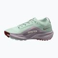 Moteriški bėgimo batai Nike ACG Pegasus Trail GORE-TEX Barely Green/Silver Lilac/Light Bone 2