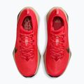 Vyriški bėgimo bateliai Nike ACG Zegama Trail light crimson/light orewood brown/black/black 4