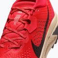 Vyriški bėgimo bateliai Nike ACG Zegama Trail light crimson/light orewood brown/black/black 5