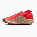 Vyriški bėgimo batai Nike ACG Pegasus Trail GORE-TEX Light Crimson/Linen/Black 2