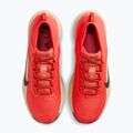 Vyriški bėgimo batai Nike ACG Pegasus Trail GORE-TEX Light Crimson/Linen/Black 5