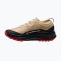 Vyriški bėgimo batai Nike ACG Zegama Trail GORE-TEX linen/light crimson/light orewood brown/black 2