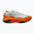 Moteriški bėgimo batai Nike ACG Zegama GORE-TEX light silver/safety orange/summit white