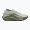 Vyriški bėgimo batai Nike ACG Pegasus Trail GORE-TEX Light Silver/Light Army/Light Silver