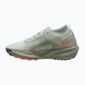 Vyriški bėgimo batai Nike ACG Pegasus Trail GORE-TEX Light Silver/Light Army/Light Silver 2