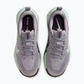 Moteriški bėgimo batai Nike Wildhorse 10 silver lilac/tattoo/barely green 4