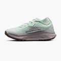 Moteriški bėgimo bateliai Nike ACG Zegama Trail barely green/Tattoo/Silver Lilac 2