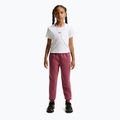 Vaikiškos kelnės Nike Sportswear Studio pink smoke/white 2