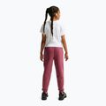Vaikiškos kelnės Nike Sportswear Studio pink smoke/white 3