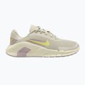 Moteriški treniruočių batai Nike Flex Train phantom/platinum violet/sail/fennel