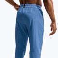 Vyriškos kelnės Nike Pro Training indigo storm/black 4