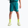 Vaikiški šortai Nike Multi Refresh bright spruce
