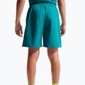 Vaikiški šortai Nike Multi Refresh bright spruce 5