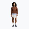 Moteriškas džemperis Nike Studio Fleece cacao wow/sail 2
