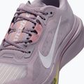 Moteriški bėgimo batai Nike Pegasus Plus 2 silver lilac/particle rose/fennel/sail 5