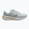 Moteriški bėgimo batai Nike Journey Run pure platinum/metallic silver