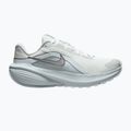 Moteriški bėgimo batai Nike Downshifter 14 off white/pure platinum/metallic silver