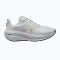 Moteriški bėgimo batai Nike Winflo 12 off white/pure platinum/off noir/blur