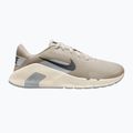 Vyriški treniruočių batai Nike Flex Train cream li/pale ivory/wolf grey/anthracite