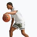 Vyriški krepšinio šortai Nike Giannis volt/off white/off white 6