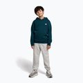 Vaikiškas džemperis New Balance Brush Back Small Logo Hoodie medusa green 2