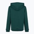 Vaikiškas džemperis New Balance Brush Back Small Logo Hoodie medusa green 7