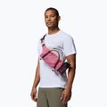 Juosmens krepšys Columbia Echo Mountain Hip rosette/dark stone/moonvista 7