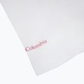 Moteriški marškinėliai Columbia Ruby Springs Graphic Fitted white/brandrise 4